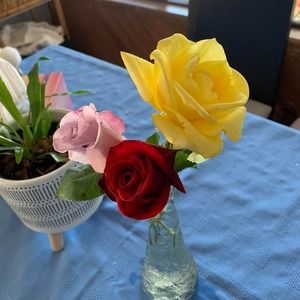 Meet your Posher, Sandi